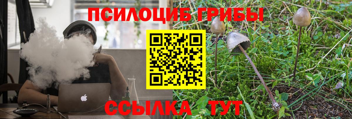 Галлюциногенные грибы Psilocybe Рыбинск